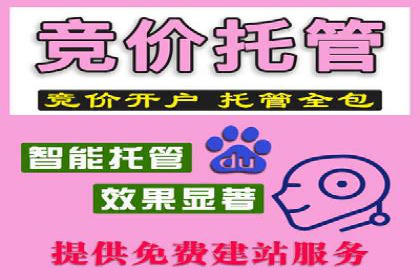 SEM运营公司成功案例分享
